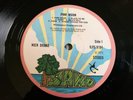 Nick Drake LP Pink Moon UK Pink Island rim 1st press no track times PLAYS SUPERB