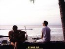 KINGS OF CONVENIENCE DECLARATION OF DEPENDENCE LP VINYL 33RPM BRAND NEW