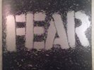 FEAR The Record 12
