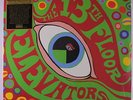 THIRTEENTH FLOOR ELEVATORS: Psychedelic Sounds Of The Thirteenth Floor Elevator
