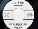 MACK RICE-BABY I'M COMING HOME /MY BABY - WLP ON LU PINE-NM NORTHERN 45-NM