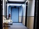 A Thousand Mistakes by The Drones (Vinyl, Nov-2011, 2 lps, Bang  Records)