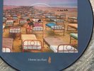 PINK FLOYD - A MOMENTARY LAPSE OF REASON RARE LP PICTURE  DISC