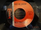 NORTHERN SOUL ; IKE & TINA TURNER / DUST MY BROOM ( T / R /C )