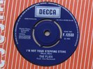 THE FLIES. I'M NOT YOUR STEPPING STONE. 1st UK 7