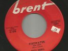 ROCKABILLY SURF TITTYSHAKER INSTROS- RUSTY ISABELL- FIREWATER  -HEAR- 1959 BRENT