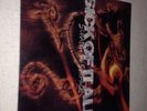 Sick Of It All - Scratch The Surface LP