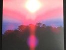 Grouper - Paradise Valley - 7