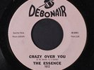 ESSENCE: Crazy Over You / Loving Tree 45 (Doo Wop Teen Rocker) rare Oldies