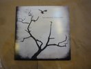 The Airborne Toxic Event LP original