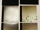 Nine Inch Nails Ultra Deluxe Limited Edition Ghosts I-IV Box Set Vinyl 378/2500