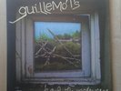 Guillemots - Through The Windowpane, 2 x LP album, VINYL