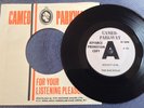 THE RAG DOLLS - SOCIETY GIRL rare UK 1964 DEMO PROMO / GIRL GROUP / SOUL DANCER