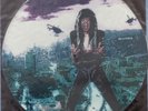 12inch6 - W.A.S.P. - Sunset & Babylon (12 CLPD 698) UK LIMITED EDITION PICTURE