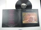 Atomic Rooster,Death Walks Behind You,First pressing,LP