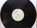 Super Rare Rise And Fall Ziggy Stardust White label Test Press