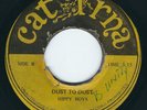 Hippy Boys - Ashes To Ashes / Dust To Dust Dub - Caturna 7
