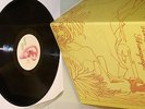 Ash Ra Tempel ?– Schwingungen lp    mint