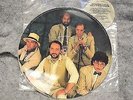 Jethro Tull Under Wraps Picture Disc Ian Anderson vinyl LP OOP