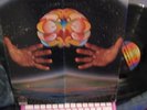 TOUCH SELF TITLED LP ORIGINAL USA GATEFLAP COVER GARAGE/PROG/PSYCHE-RARE