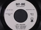 BILLY SHA-RAE: Cat Walkin' / One Rose 45 (dj) Blues & R&B