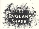 Pj Harvey - Let England Shake NEW LP