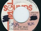 Flaming Phonics ( Earl 16 ) Hey Baby Delay / Dub - Total Sounds 7