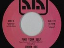 Funk 45 - Jimmy Bee - Find Your Self - Ala - NM mp3