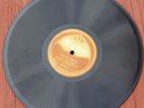 Silvertone 8149 John Hammond Little Birdie / Purty Polly 78 RPM 1920's Bluegrass