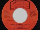 Modern Soul 45 - Chosen Few Band - What It Takes To Live - BR - VG+ mp3 - rare