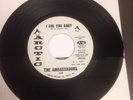 THE AMBASSADORS- I Dig You Baby b/w Storm Warning RARE Funk/Soul PROMO 45 Arctic