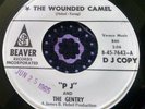 Tough Mod Garage Exotica Tittyshaker 45 PJ and the Gentry The Wounded Camel HEAR
