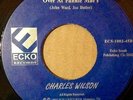 Charles Wilson In The Room Next To The Room Vinyl Single 7inch Ecko Records