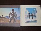 Pink Floyd vinyl 2 Delicate sound of thunder 2Lp - Wish you were here