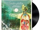 SOMETHING FOR KATE - LEAVE YOUR SOUL TO SCIENCE (VINYL) * NEW VINYL