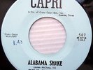 GENE SUMMERS orig.Texas ROCKABILLY Capri 45 ALABAMA SHAKE b/w JUST BECAUSE F2185