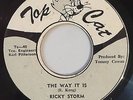 RICKY STORM - THE WAY IT IS - TOP CAT ( RARE ROOTS REGGAE 7 )