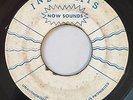 VIN GORDON - INBIDIMTS / SUCTION - INBIDIMTS  ( 69 SKINHEAD INST 7 )