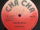 BARRINGTON LEVY - WARM AND SUNNY DAY - CHA CHA ( ROOTS REGGAE 12 )