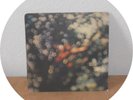 LP Pink Floyd - Obscured By Clouds, Harvest SHSP 4020, UK 1972, WASHED / CLEANED