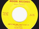 Memphis Rockabilly 45 - ALLEN PAGE - She's The One That's Got It / Sugar Tree