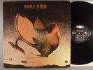 Rare Bird  Self-Titled   Prog Psych