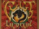 THE CULT Lil Devil 2x12