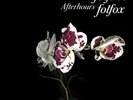AFTERHOURS - FOLFIRI O FOLFOX - 2LP VINYL NEW SEALED 2016