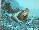 Roxy Music Siren Vinyl LP NEW sealed