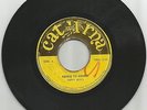 HIPPY BOYS / ASHES TO ASHES / DUST TO DUST / 7''/ VG+