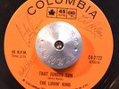 ROCK 45 - THE LUVIN' KIND - THAT JUNGLE SUN /IT'S NOT ALWAYS Garage VG++ HEAR