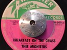 GARAGE 45 - THEE MIDNITERS - BREAKFAST ON THE GRASS /DREAMING CASUALLY HEAR