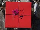 FRANK ZAPPA - YES...IT'S JUST ANOTHER ZAPPA BOX (4 LP-Box) #7/10 - MA/Phily '88