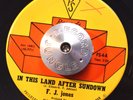 FUNK 45 - F.J. JONES - IN THIS LAND AFTER SUNDOWN /MY WORLD PS Soul VG++ HEAR